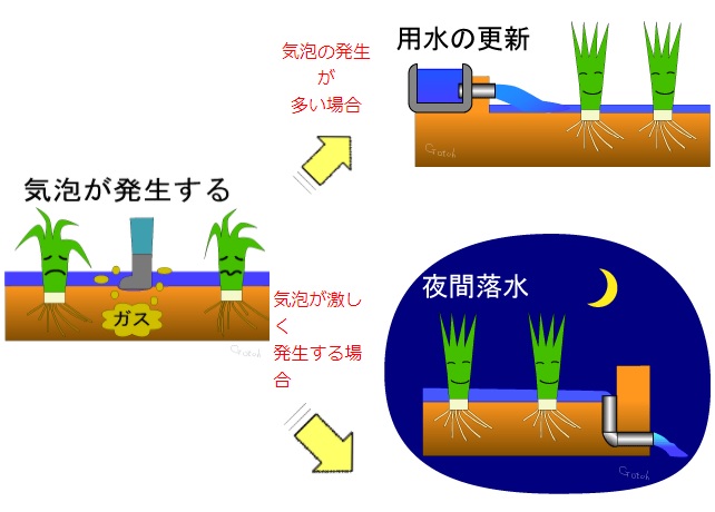 湧き対策